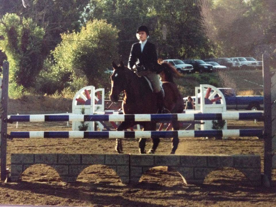 Saumier Stables photo 1