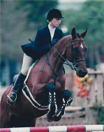 Saumier Stables photo 4