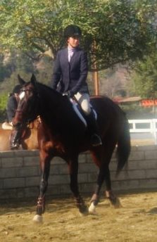 Saumier Stables photo 7