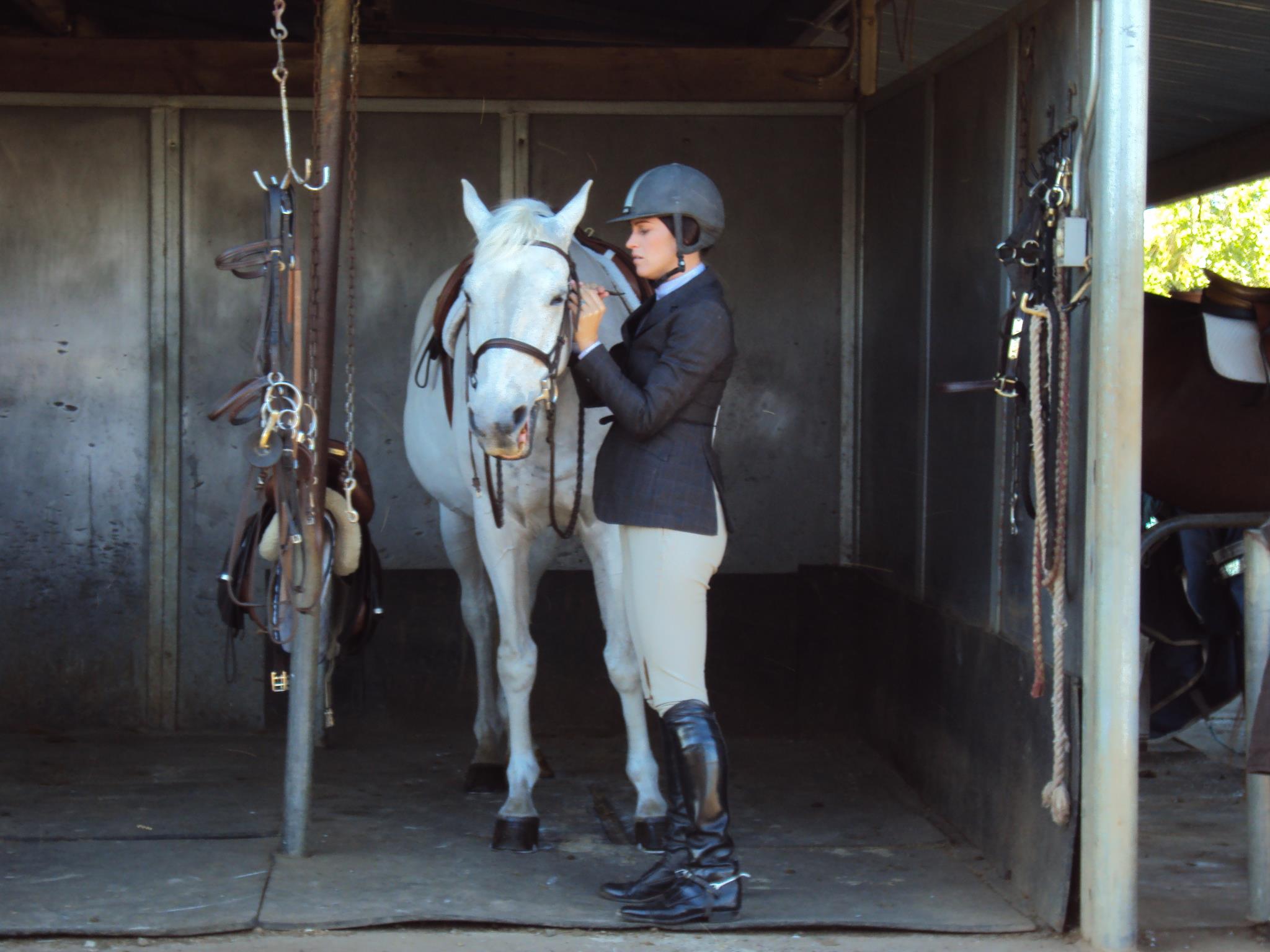 Saumier Stables photo 8