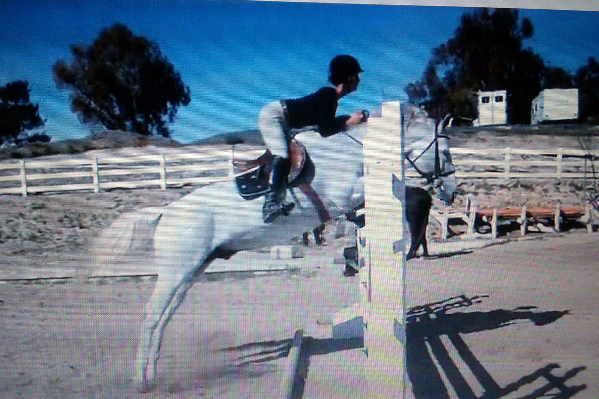 Saumier Stables photo 9