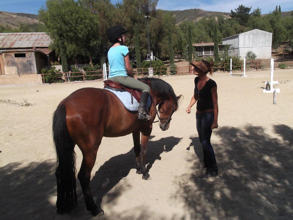 Saumier Stables photo 11