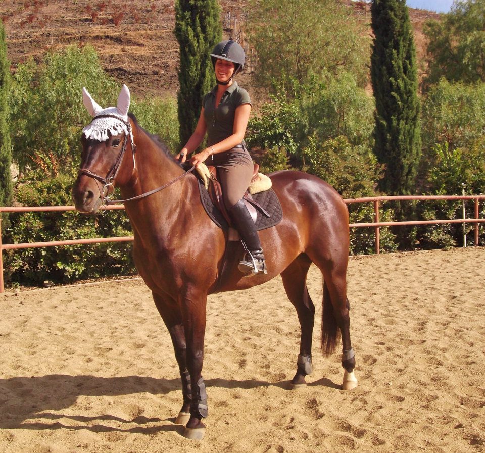 Saumier Stables photo 13