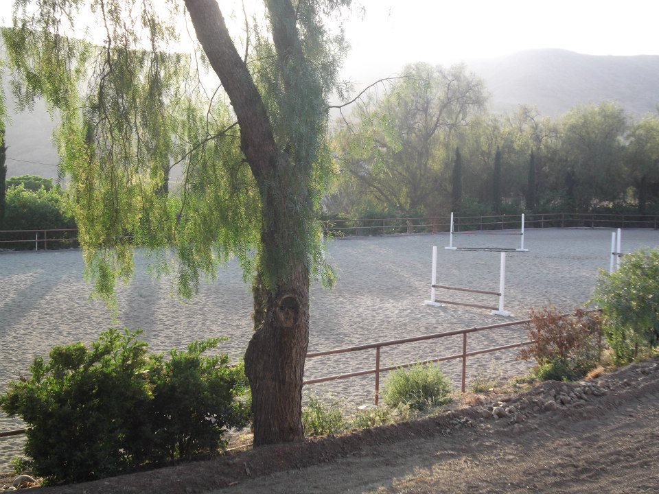 Saumier Stables photo 14