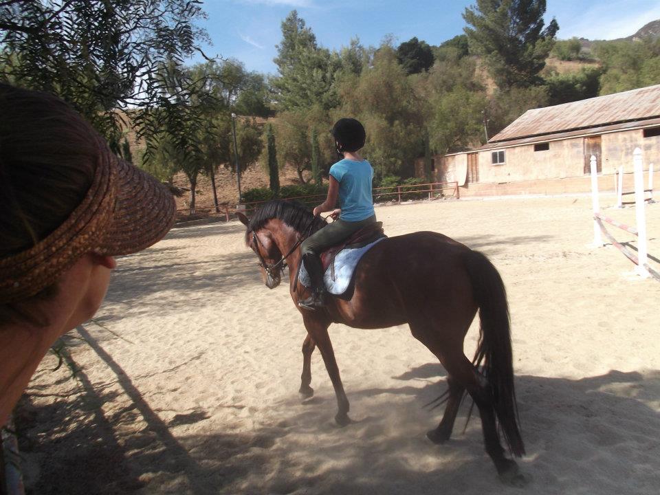 Saumier Stables photo 17