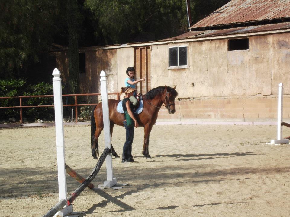Saumier Stables photo 18