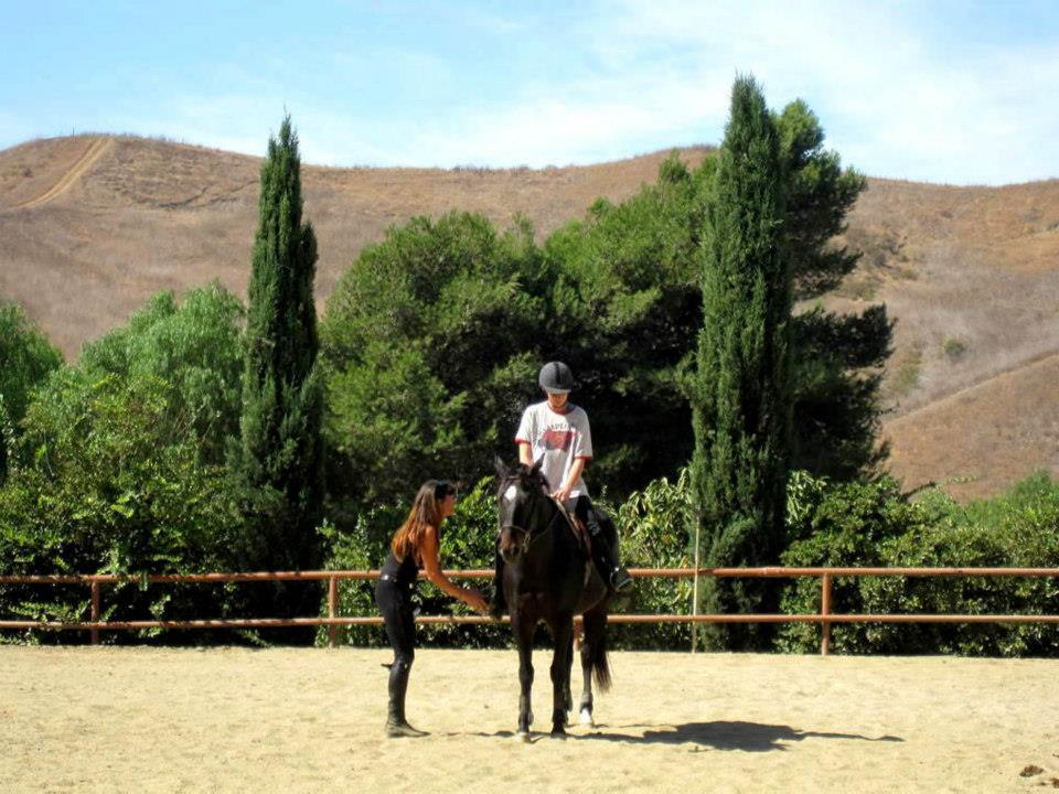 Saumier Stables photo 22