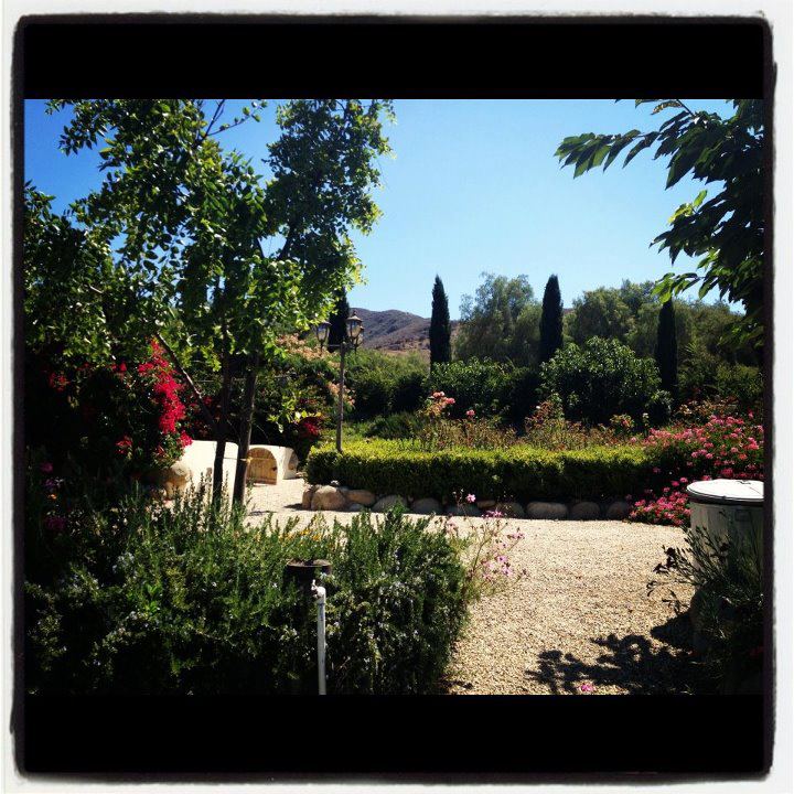 Saumier Stables photo 27