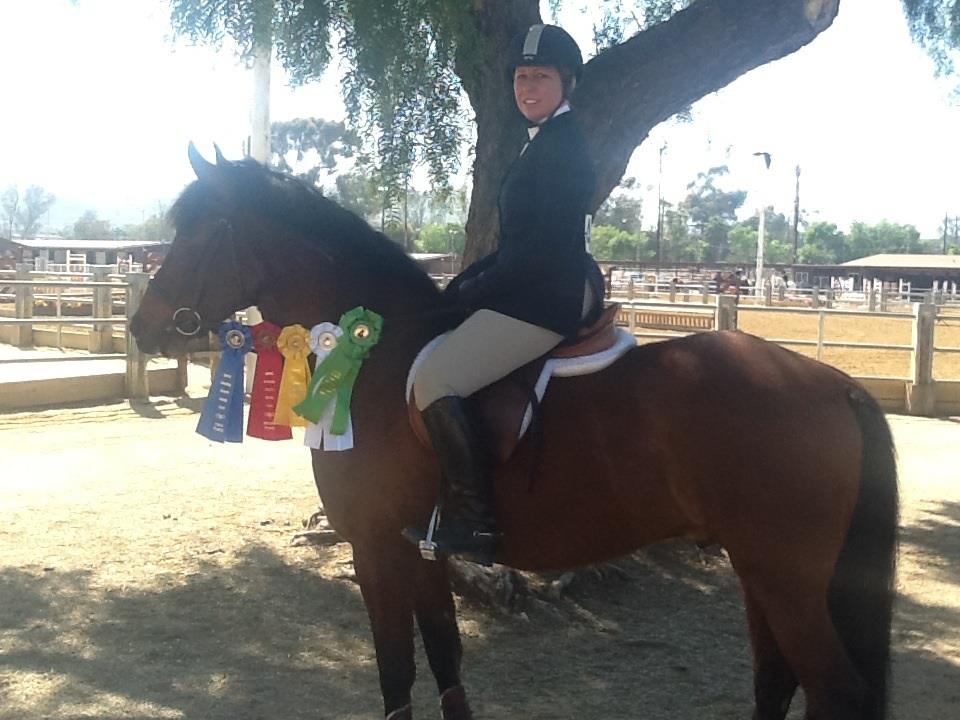 Saumier Stables photo 31