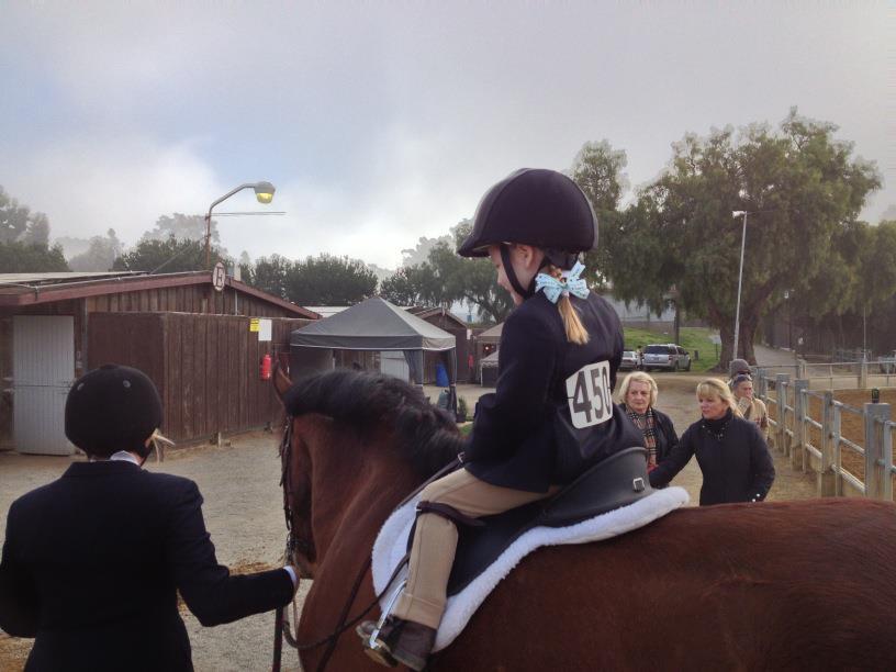 Saumier Stables photo 33