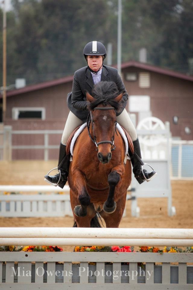 Saumier Stables photo 34