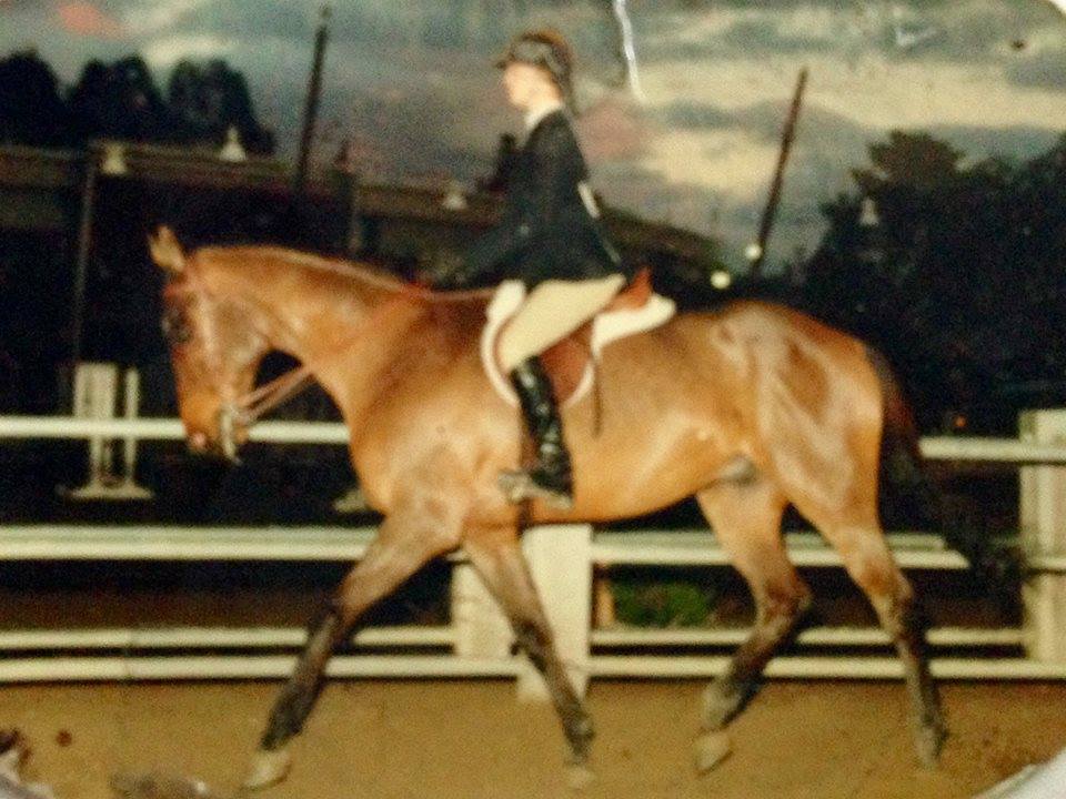 Saumier Stables photo 38