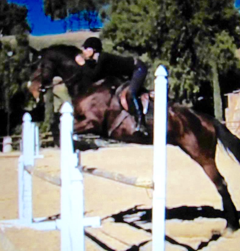 Saumier Stables photo 39