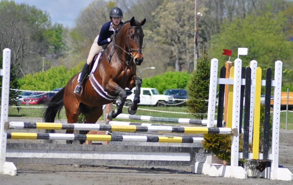 Saumier Stables photo 40