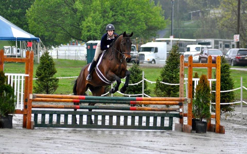 Saumier Stables photo 41